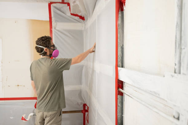 Best Commercial Mold Inspection  in San Juan Pistrano, CA